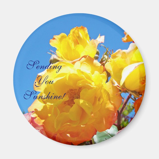 Sende dir Sonnenschein! Magnet Yellow Roses Blue S (Vorne)