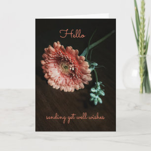 Senden von Get Well Wwünschcard Karte