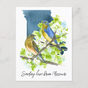 Senden von Liebe Missouri Bluebirds Hawthorn Blume Postkarte