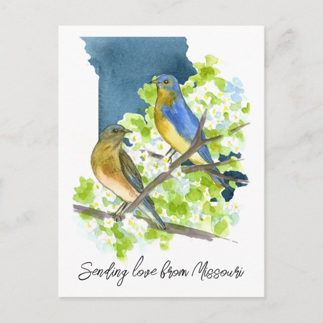 Senden von Liebe Missouri Bluebirds Hawthorn Blume Postkarte (Vorderseite)