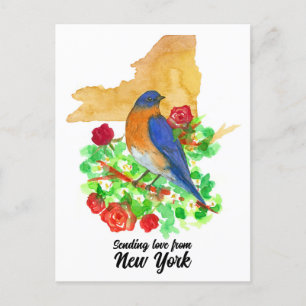 Senden von Liebe New York Bluebird-Rote Rosen Postkarte