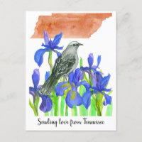 Senden von Liebe Tennessee Mockingbird Iris Blume