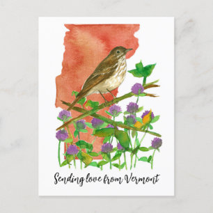 Senden von Liebe von Vermont Bird Clover Postkarte