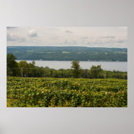 Seneca Lake and Vineyards, New York Poster