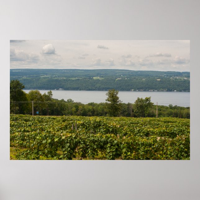Seneca Lake and Vineyards, New York Poster (Vorne)