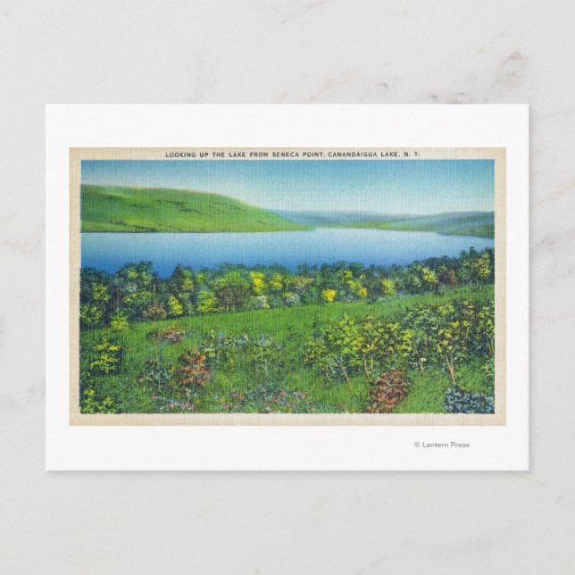 Seneca Point Blick auf den See Postkarte (Vorderseite)