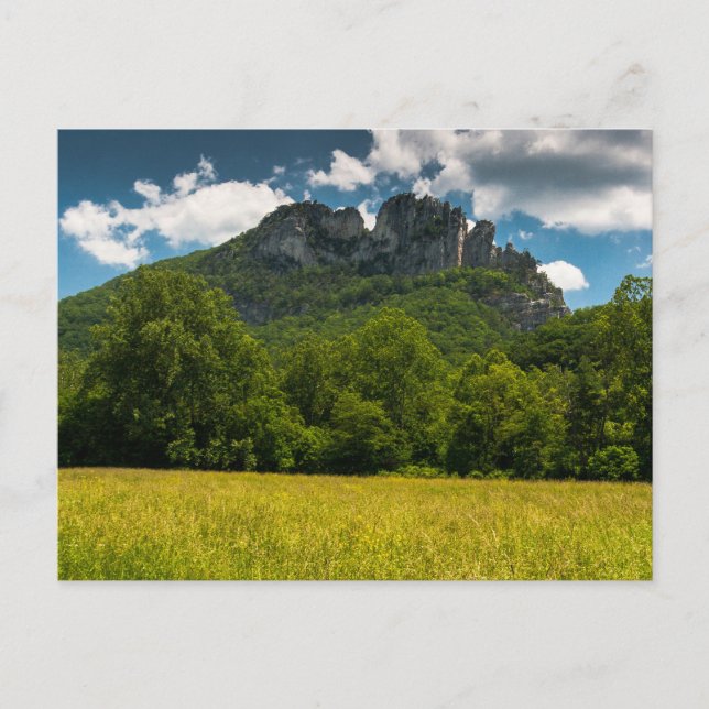 Seneca Rocks im Sommer, West Virginia Postkarte (Vorderseite)