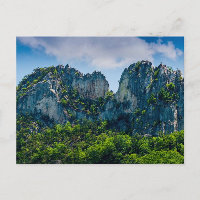 Seneca Rocks im Sommer, West Virginia Postkarte (Vorderseite)