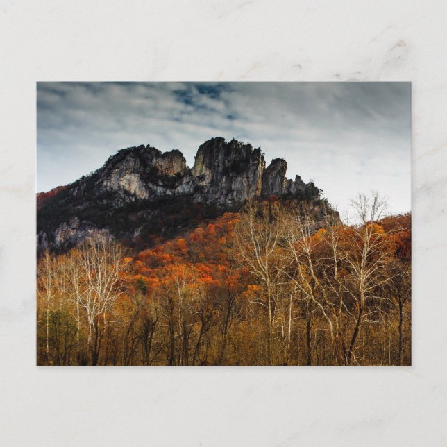 Seneca Rocks in Herbst, West Virginia Postkarte (Vorderseite)