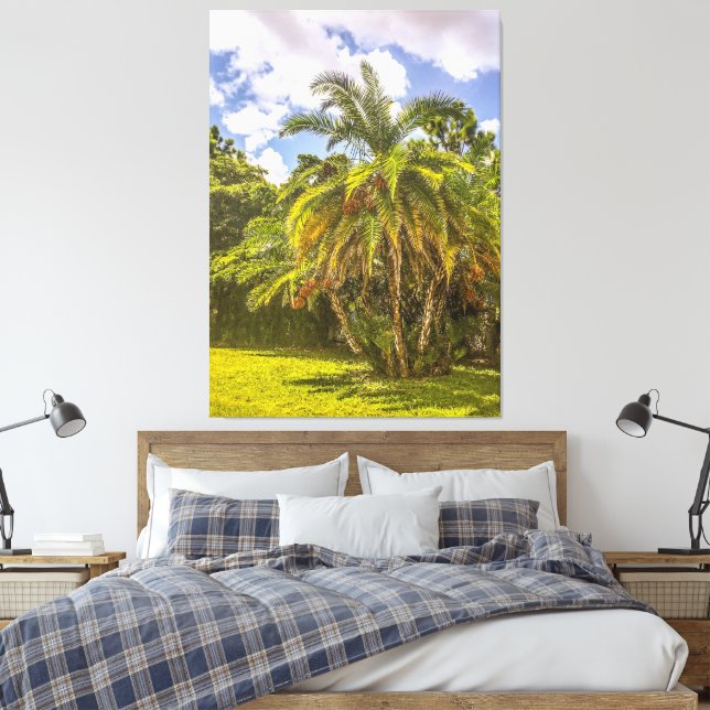 Senegal Date Palm Stretched Canvas Print Leinwanddruck (Insitu (Schlafzimmer))