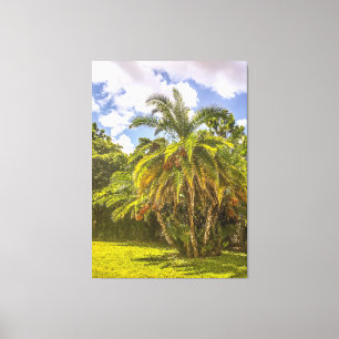 Senegal Date Palm Stretched Canvas Print Leinwanddruck