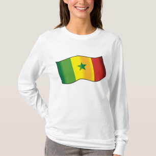 Senegal Flagge Senegalischer Stolz Grün Gelb Rot T-Shirt