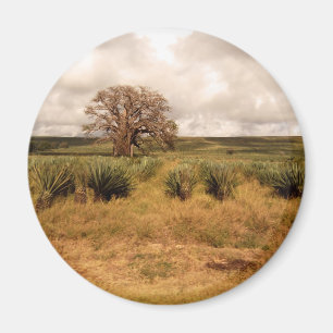 Senegal Landschaft Magnet