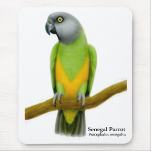 Senegal-Papagei Mousepad