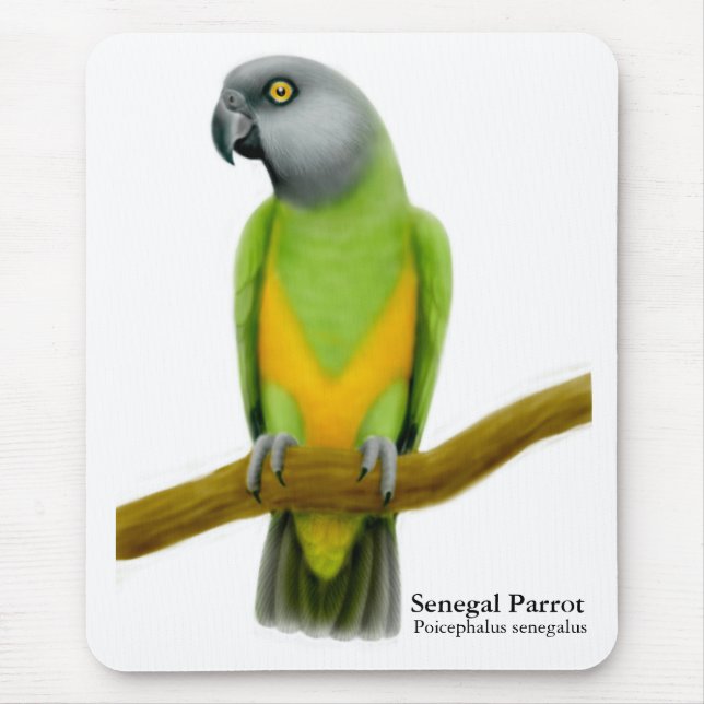 Senegal-Papagei Mousepad (Vorne)