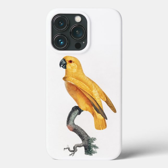 Senegal Parrot Case-Mate iPhone Hülle (Rückseite)