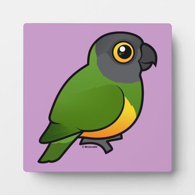 Senegal Parrot Fotoplatte (Vorderseite)