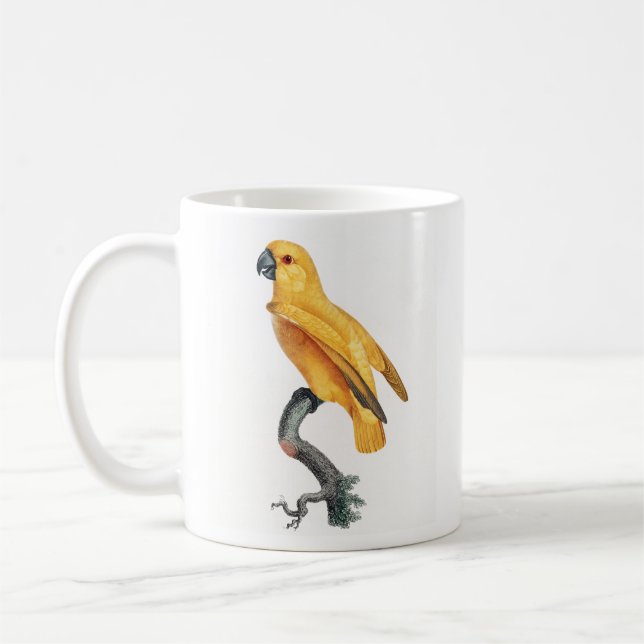 Senegal Parrot Kaffeetasse (Links)