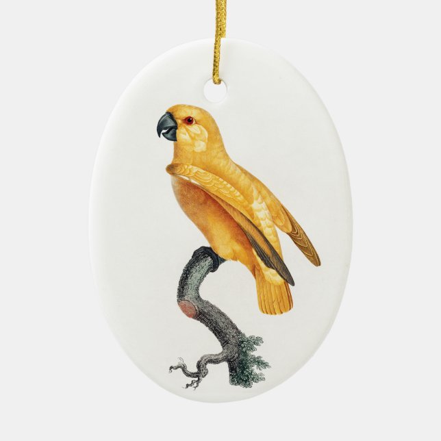 Senegal Parrot Keramik Ornament (Vorne)