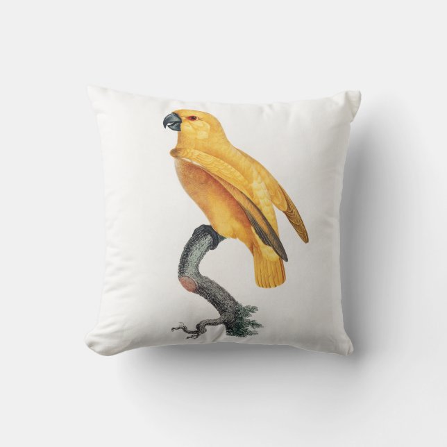 Senegal Parrot Kissen (Vorderseite)