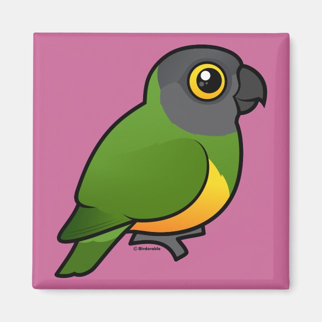 Senegal Parrot Magnet (Vorne)