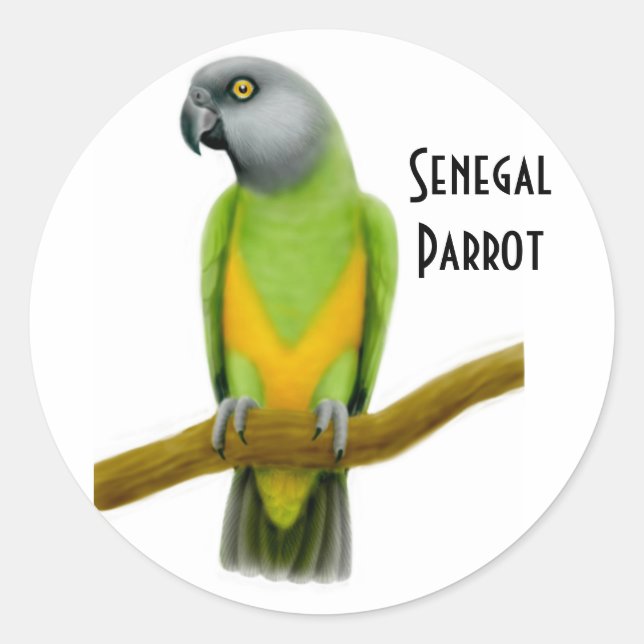 Senegal Parrot Sticker (Vorderseite)