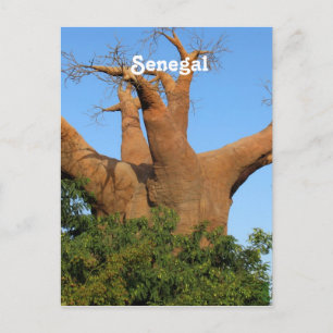 Senegal Postkarte
