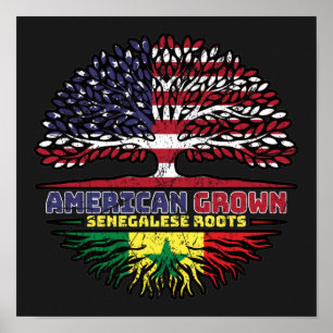 Senegal Senegalese USA USA Vereinigte Staaten Poster