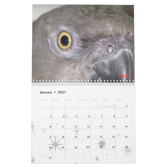 Senegals 2009 Kalender - besonders angefertigt (Jan 2027)