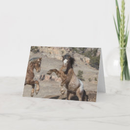 Senf-Sparring: Galloping für Freie Gruß Karte