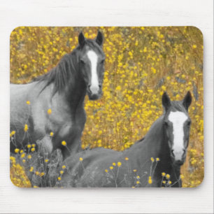 Senf und Pferde Mousepad