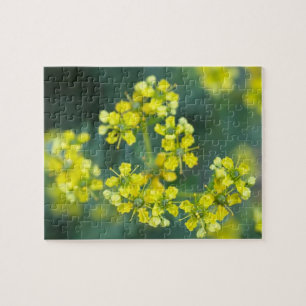 Senfblumen, Puzzle, 20x25 cm, 110 Teile Puzzle