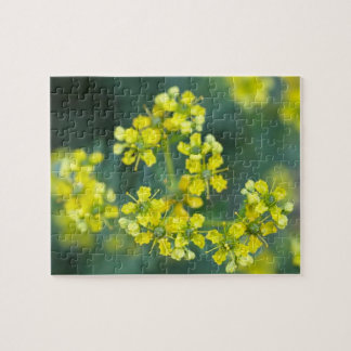 Senfblumen, Puzzle, 20x25 cm, 110 Teile Puzzle