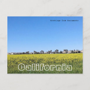 Senffeld-Blume Postkarte