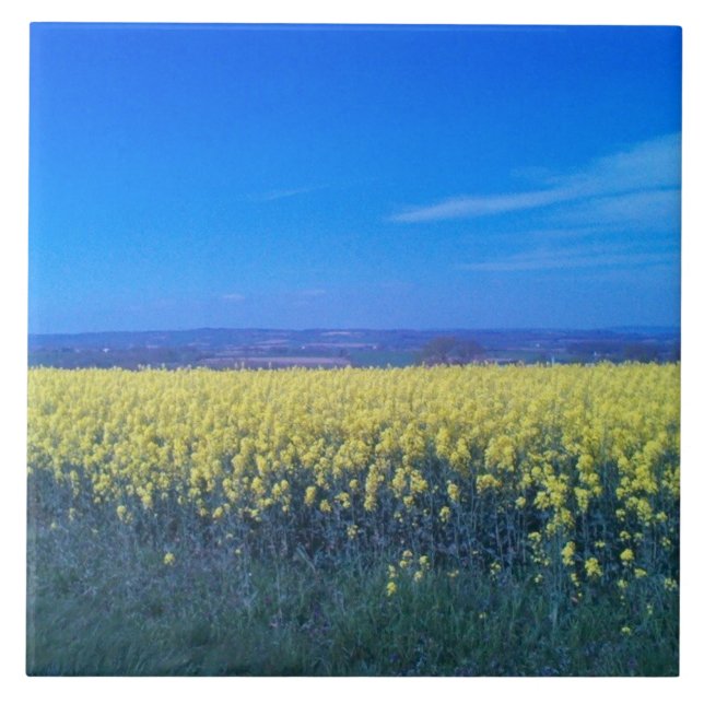 Senffelder Keramik Tile 6" x 6"  Fliese (Vorderseite)