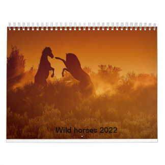 Senfkalander-Kalender 2020 Kalender