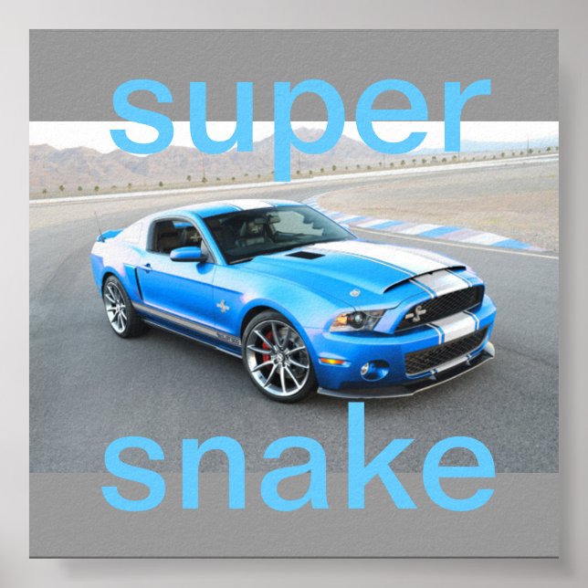 Senfposter Poster (Vorne)