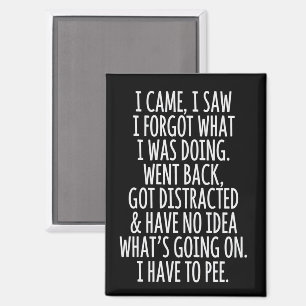 Senior Citizen Ich kam ich sah ich vergaß was ich  Magnet