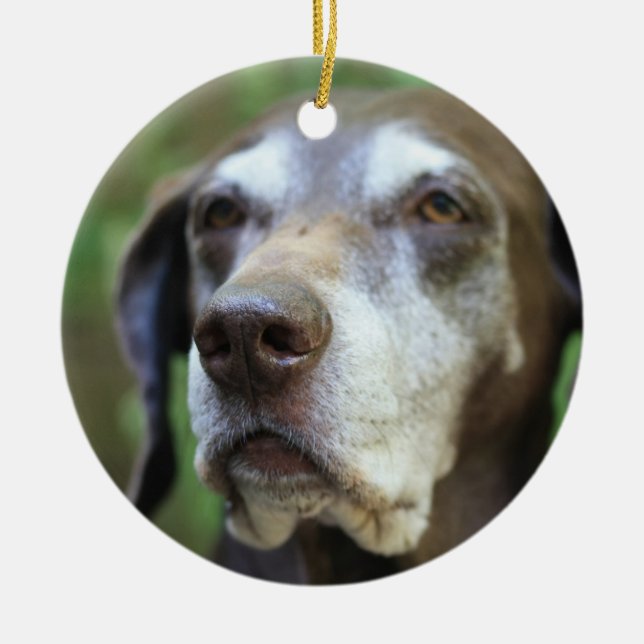 Senior German Pointer Ornament (Vorne)