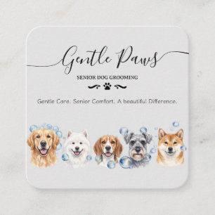 Senior-Tier-Hundepflegesalon Hundepflege Quadratische Visitenkarte