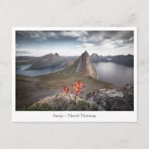 Senja Norwegen Postkarte