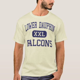 Senken Sie Dauphin-Falcons-Mitte Hummelstown T-Shirt