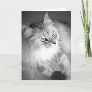 Sensationelle sibirische Blankkarte Karte