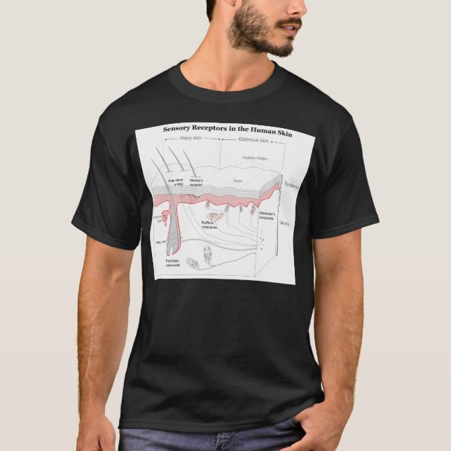 Sensorik-Rezeptoren in der menschlichen Haut T-Shirt (Vorderseite)