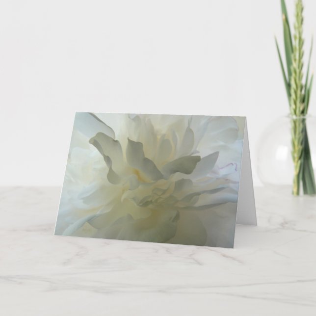 Sensual Delight AH2010 Karte (Vorderseite)