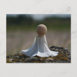 Sensueel gehuld poppetje in een bloemen jurkje. postkarte