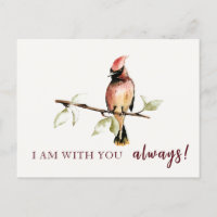 Sentimental bin ich bei dir immer Red Kardinal