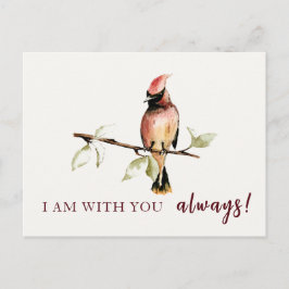 Sentimental bin ich bei dir immer Red Kardinal Postkarte