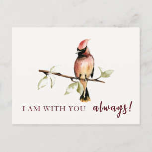 Sentimental bin ich mit dir immer Rotkardinal Postkarte