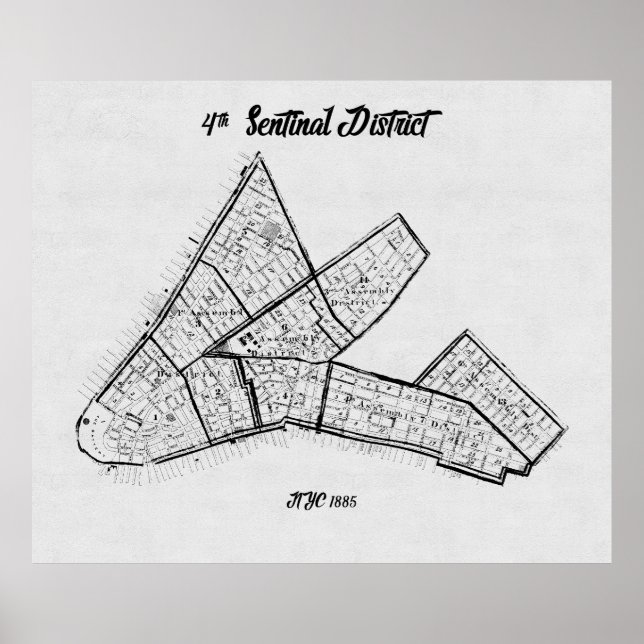 Sentinal District, NYC 1885 Poster (Vorne)